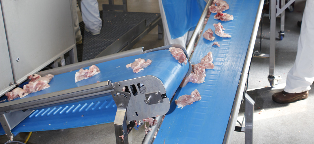 Poultry processing in The Netherlands