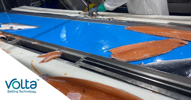 Blog Pictures Fish&Seafood_1 Cover