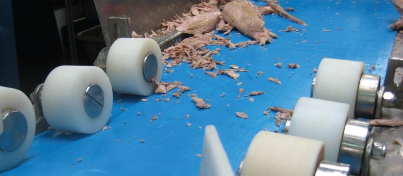 Tuna Processing