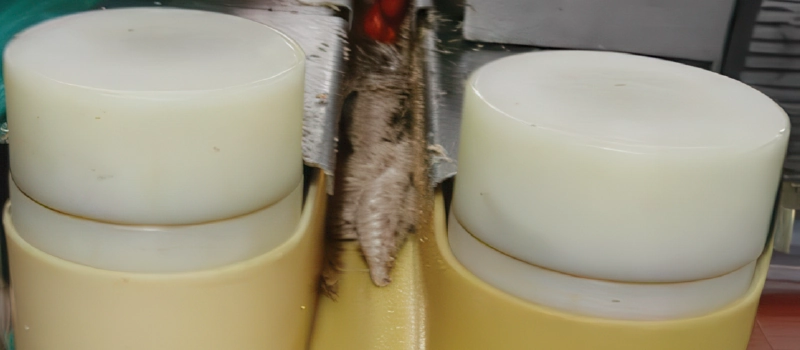 Can Filling / Squeezing belts