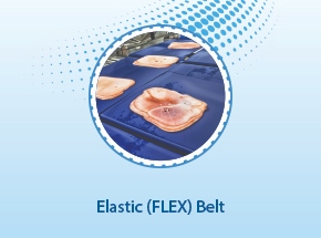 Elastic FLEX Belts