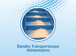 Bandes transporteuses alimentaires