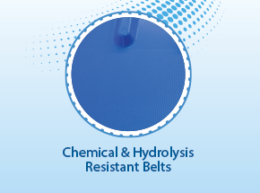 Chemical and Hydrolysis Resistant Belts