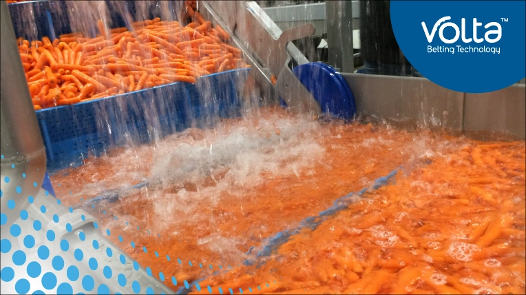Hygienic Design in the Food Processing Industry