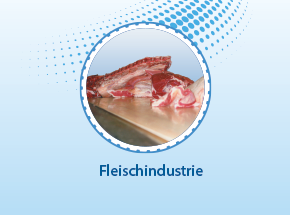 Fleisch