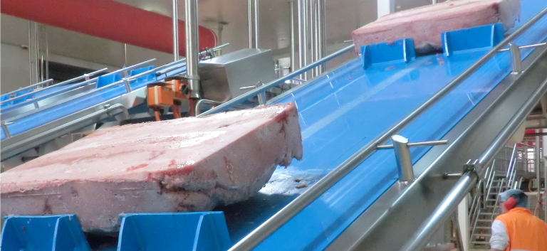 Frozen meat on conveyor belt