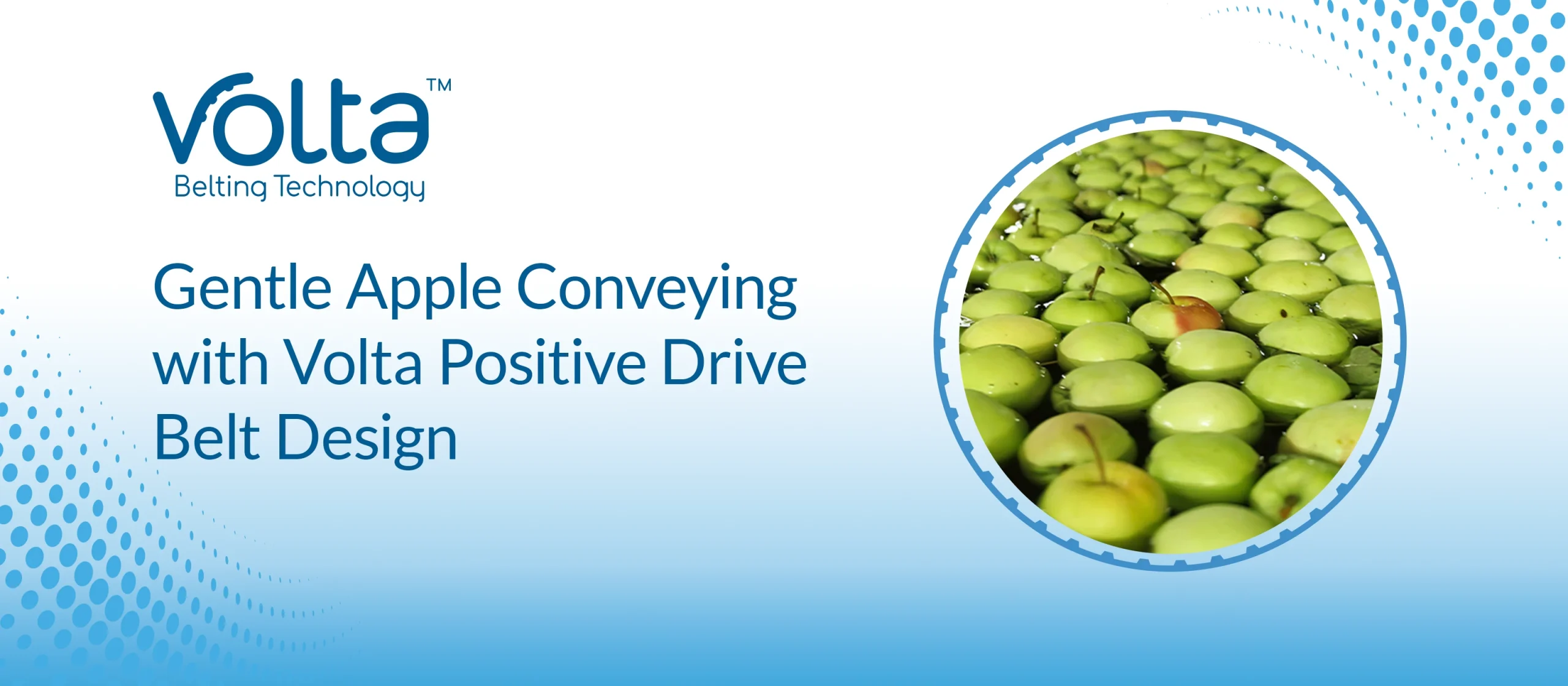 Gentle Apple Conveying with Volta Positive Drive Belt Design