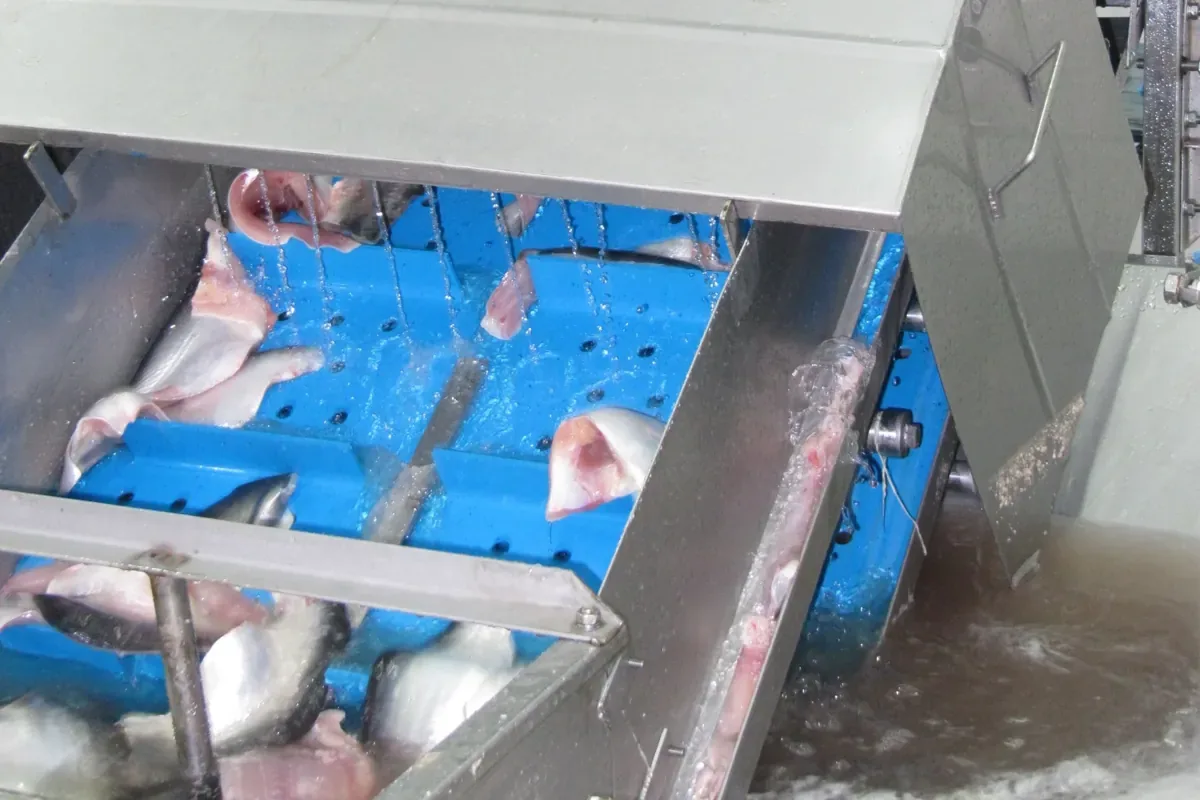 Volta cleated belt carrying fish fillets on an incline conveyor with water spray