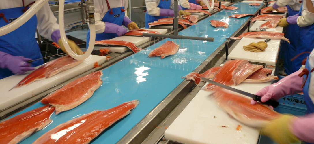 The big fish industry