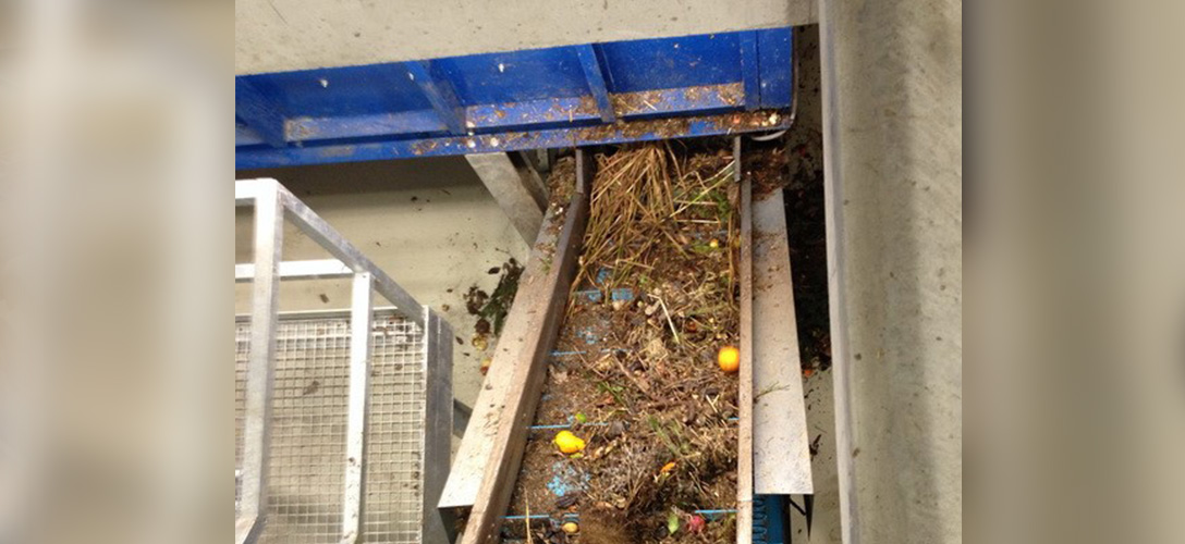 Biomass processing