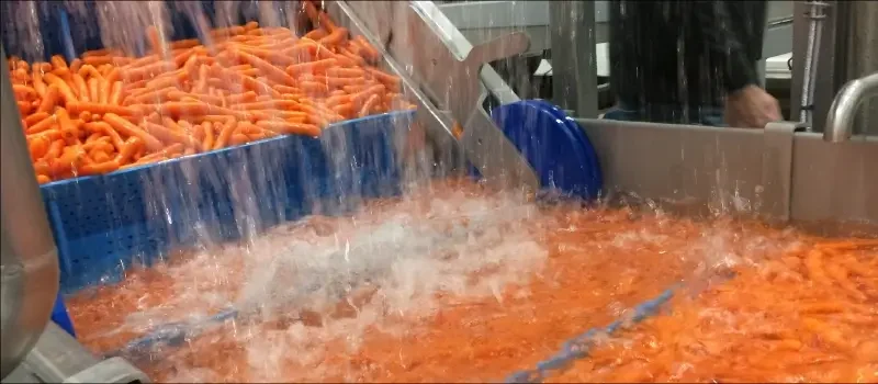 Hygienic Design- Food Processing Industry