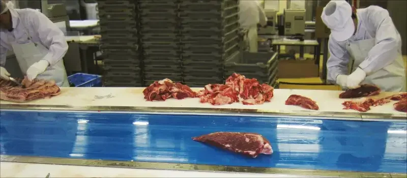hygienic conveyor Belts