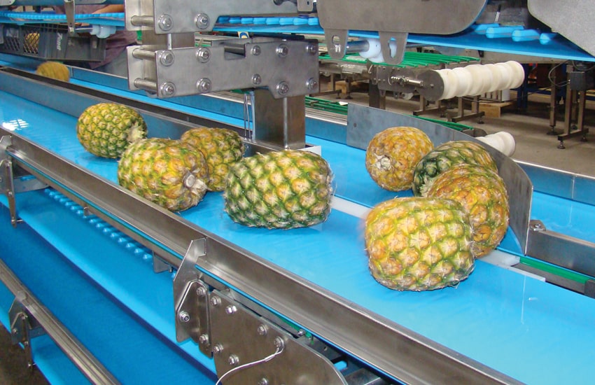 horizontal conveyors