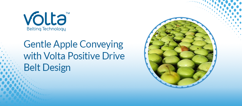 Gentle Apple Conveying with Volta Positive Drive Belt Design
