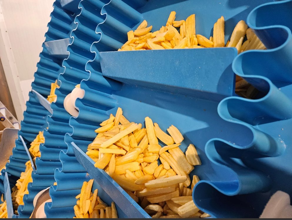 Volta positive-drive bucket elevator belt with integral scoop cleats and welded sidewalls carrying sliced dried fruit in a food processing plant